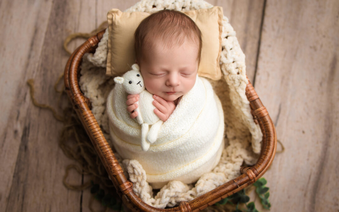 Newborn boy in basket for newborn photoshoot Grants Pass